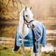 Horseware Eco Liner